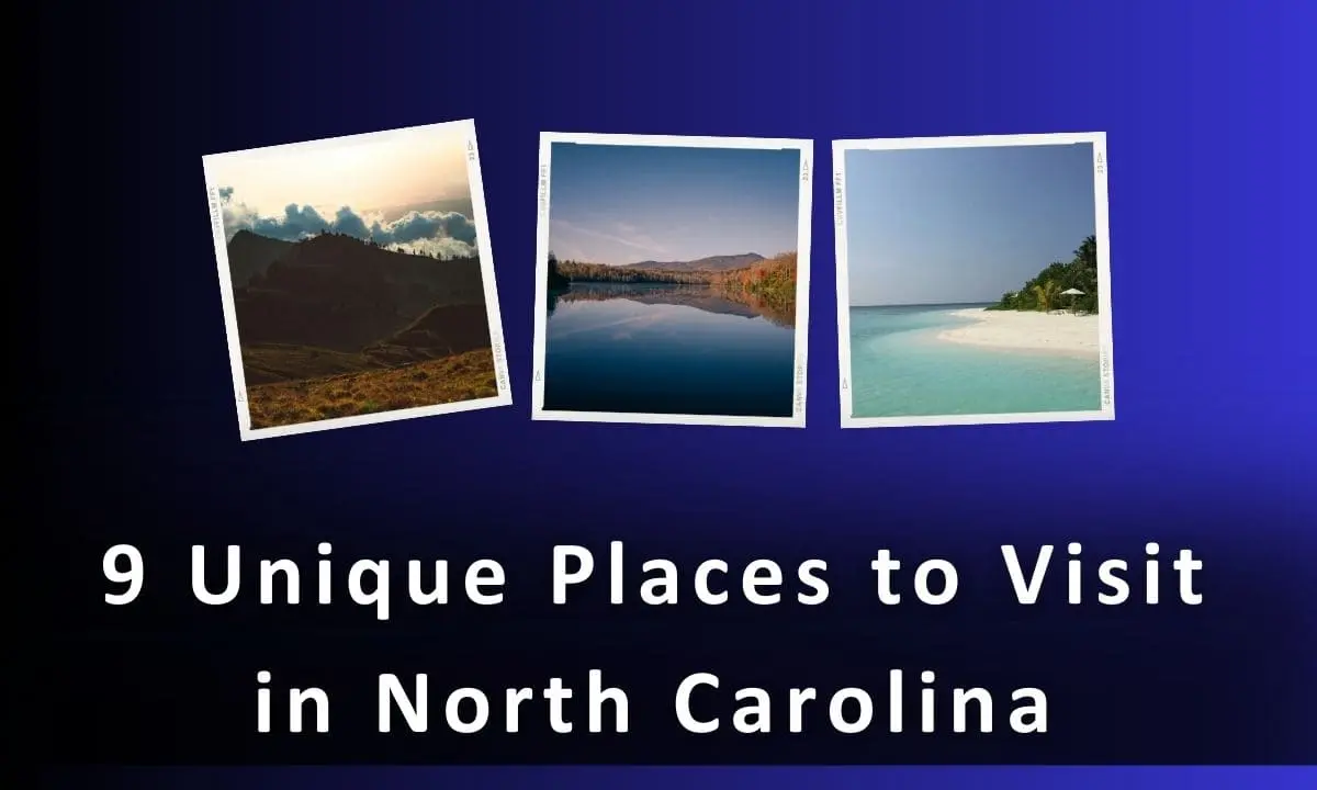 Unique Places to Visit in North Carolina in USA