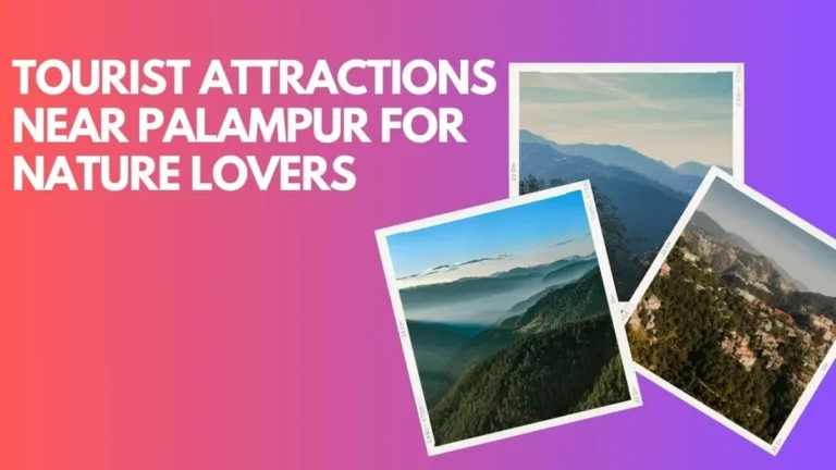 Tourist Attractions Near Palampur for Nature Lovers